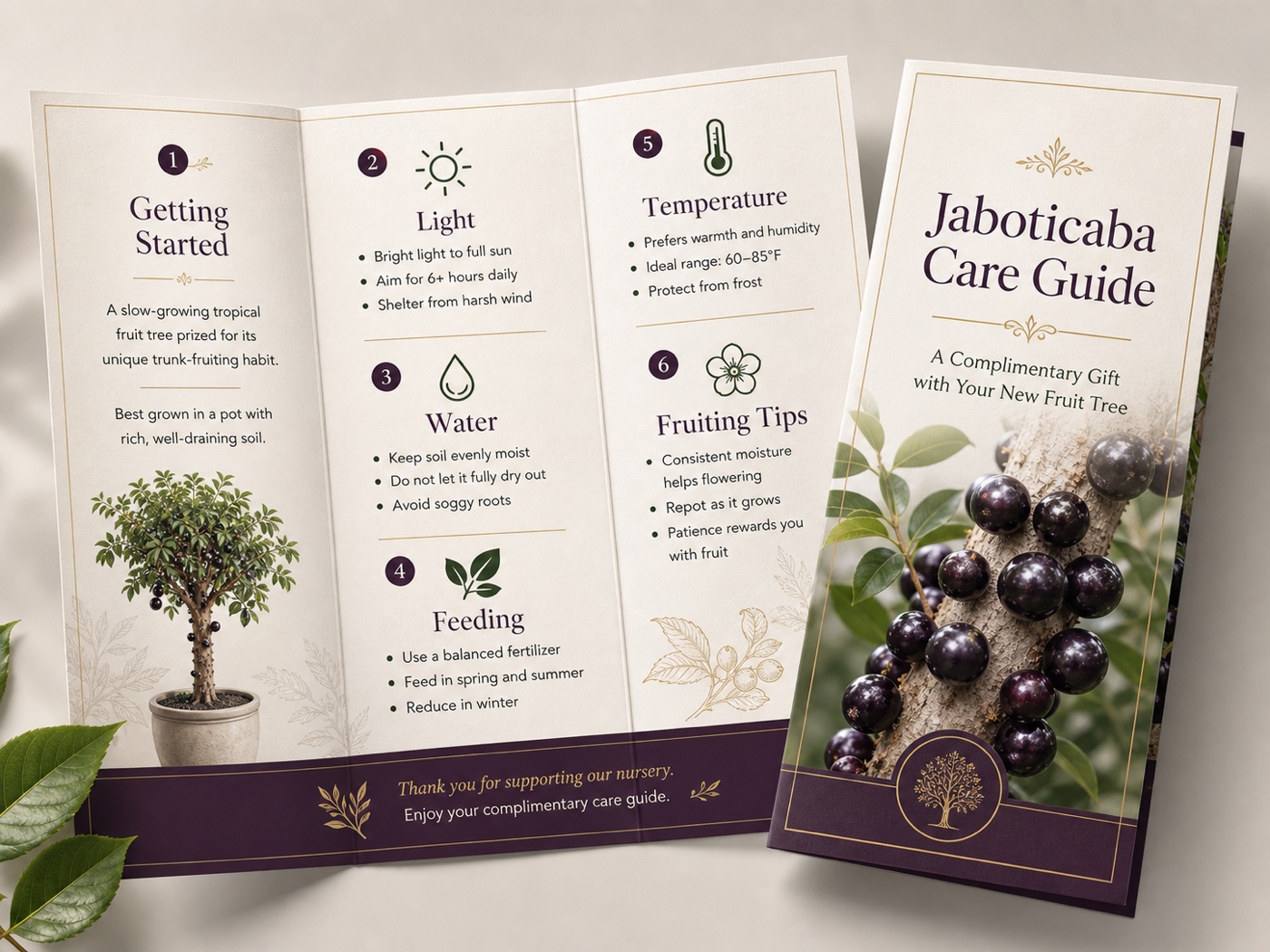 Printed JaboHouse Jaboticaba Care Guide trifold brochure